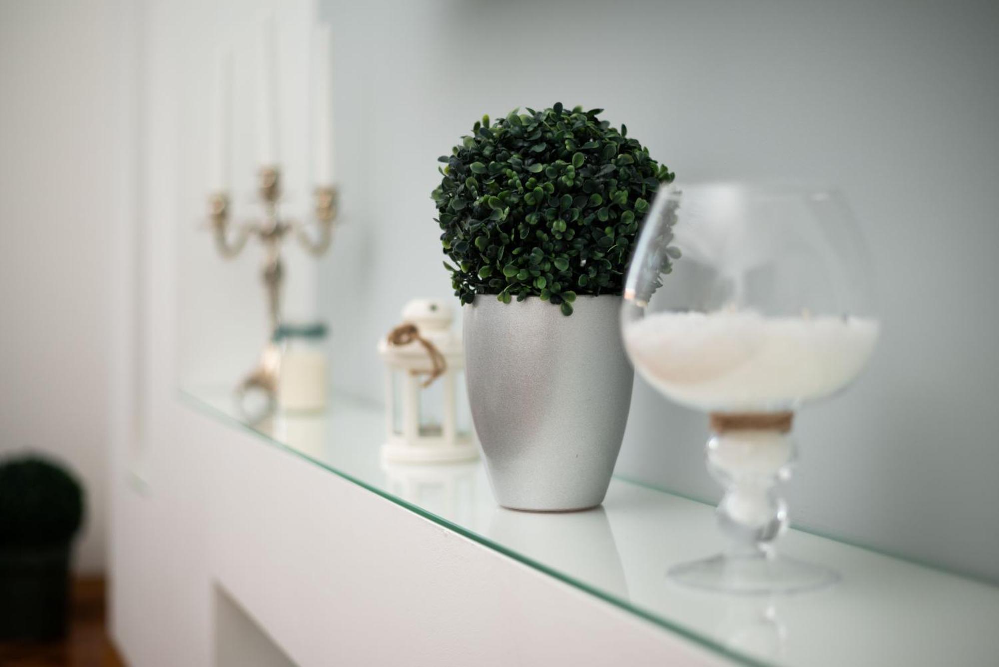 Apartment Primula Суботица Екстериор снимка